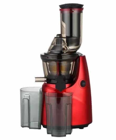Fujidenzo SJ8245R Slow Juicer