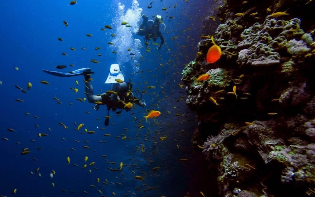Scuba Diving in Anilao Best Things To Do in The Philippines